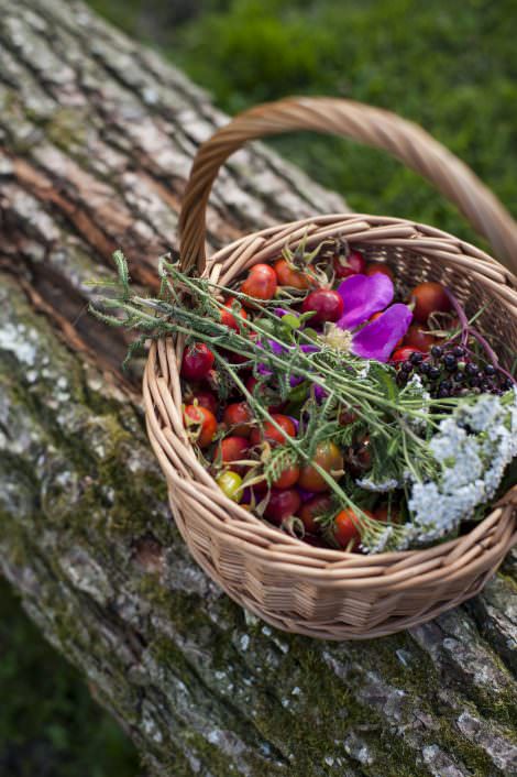 Restaurant Slettestrand serverer mad med naturens smage.