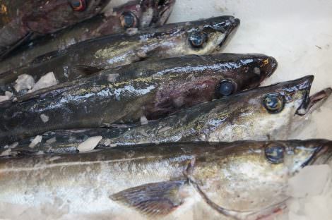 Restaurant Slettestrand serverer frisk fisk fra Vesterhavet