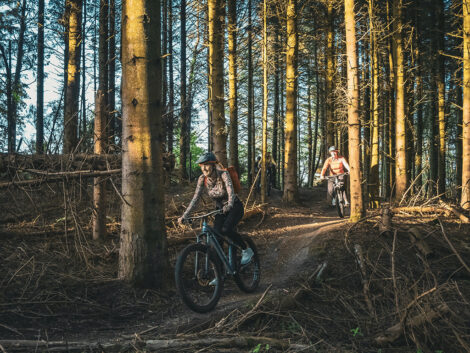 Prøv de fede MTB spor i Svinkløv Plantage | Foto: Daniel Villadsen