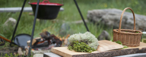 Naturgastronomi i Madsmedjen i Slettestrand.