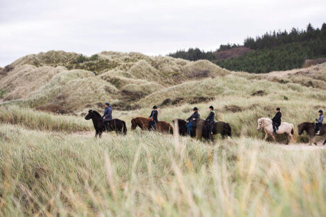 Guidet ridetur på islandske heste med Svinkløv Turridning | Foto: Jens Thimm Valsted