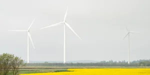 Vi kører på vedvarende energi fra dansk vindkraft | Feriecenter Slettestrand