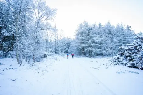Vinter MTB tur i Slettestrand | Foto: Kristian Skjødt