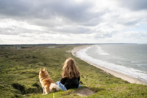 Fantastiske naturoplevelser i Slettestrand | Foto: Kristian Skjødt