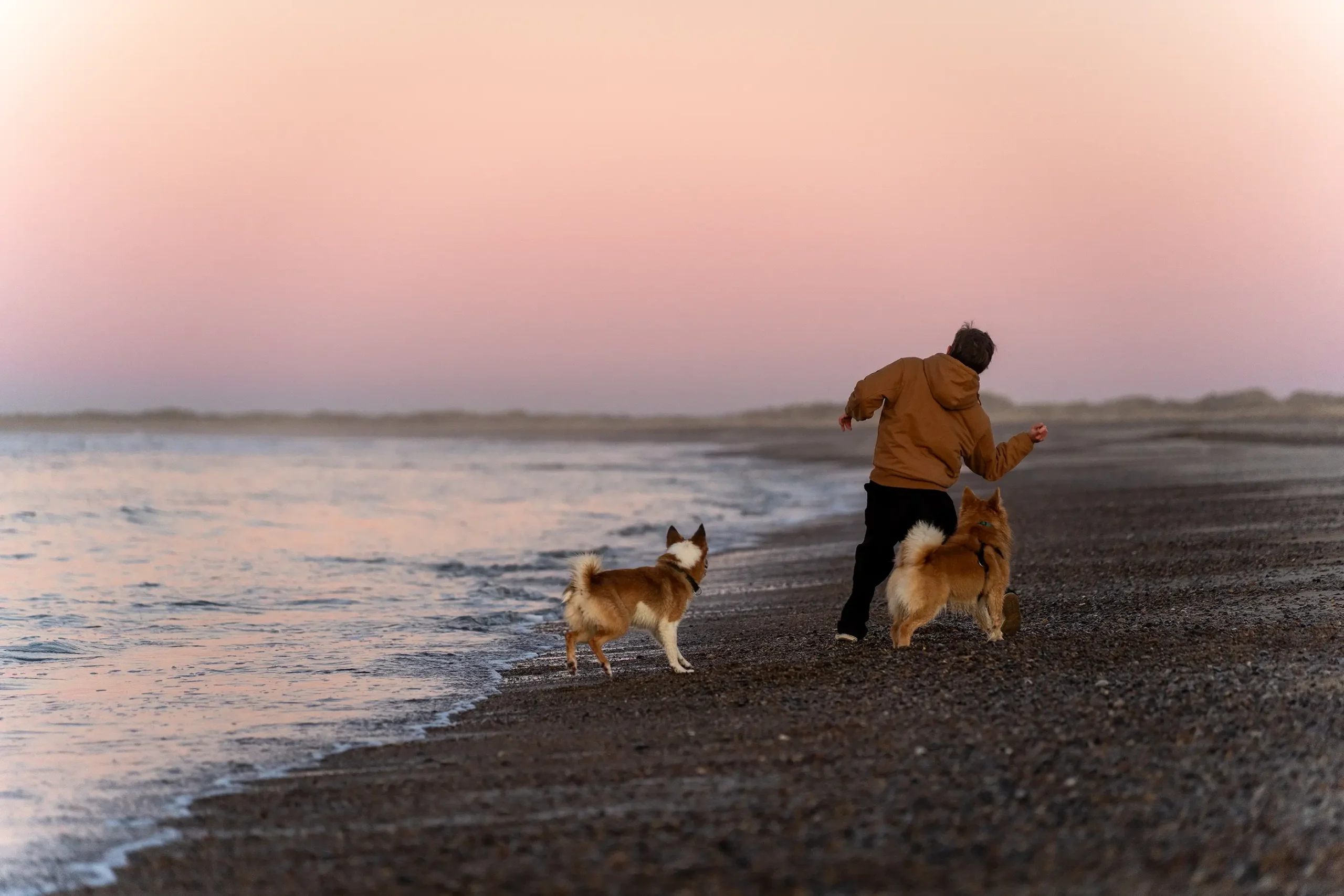 Ferie med hund i Slettestrand | Foto: Kristian Skjødt