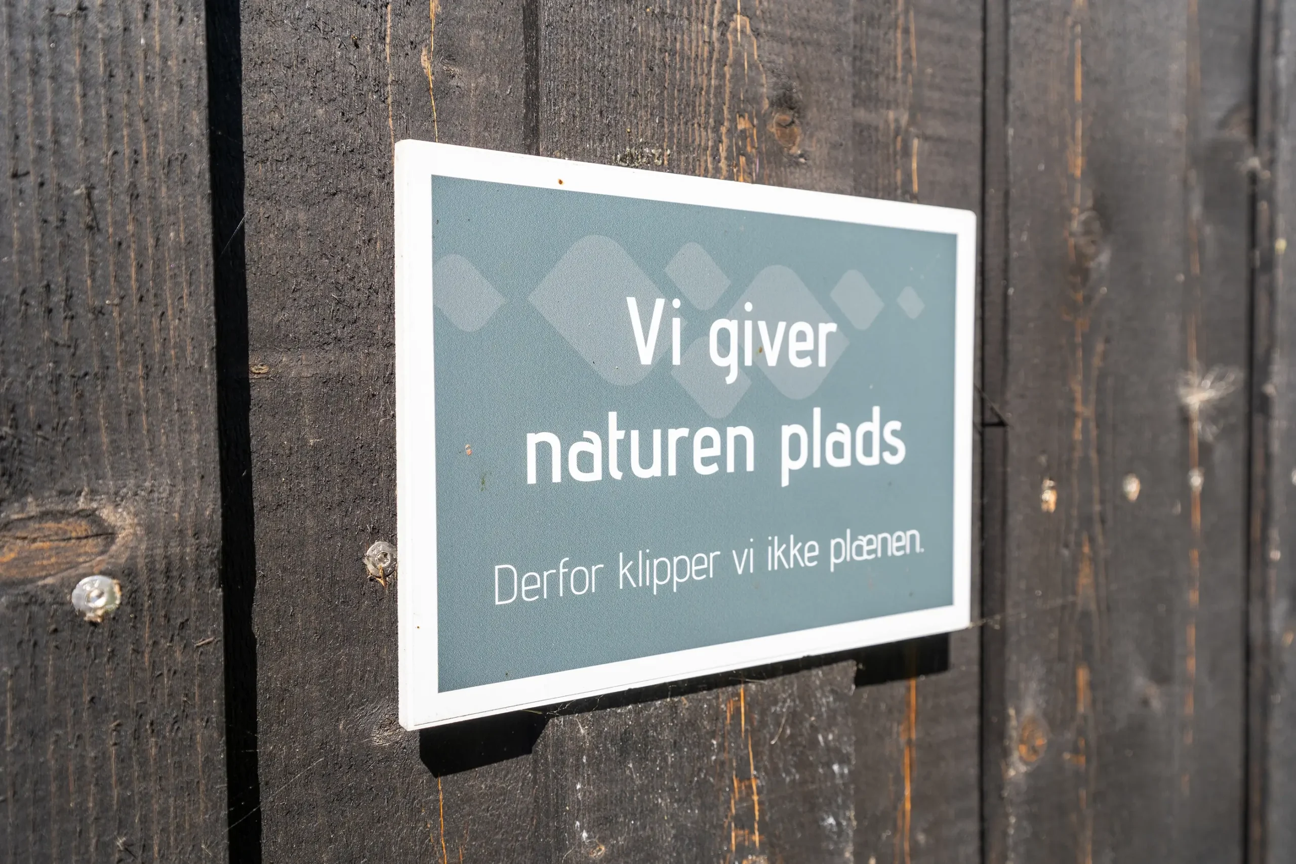 Vild haveområde med plads til naturen ved ferielejlighed Anneks i Slettestrand | Foto: Kristian Skjødt