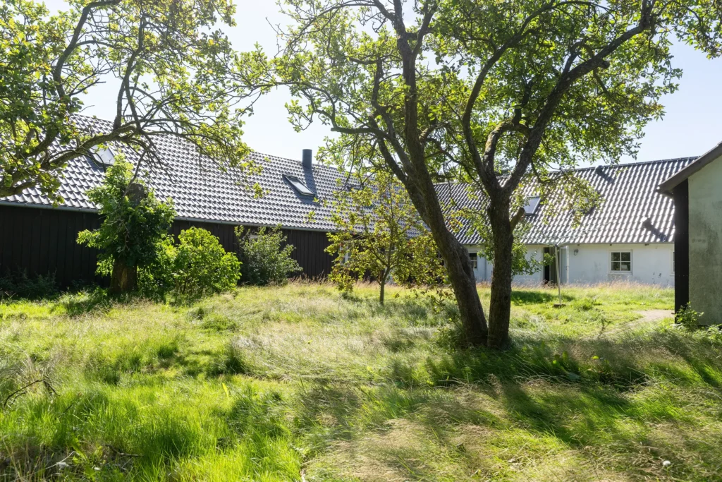 Vild haveområde ved Den Gamle Smedje i Slettestrand | Foto: Kristian Skjødt