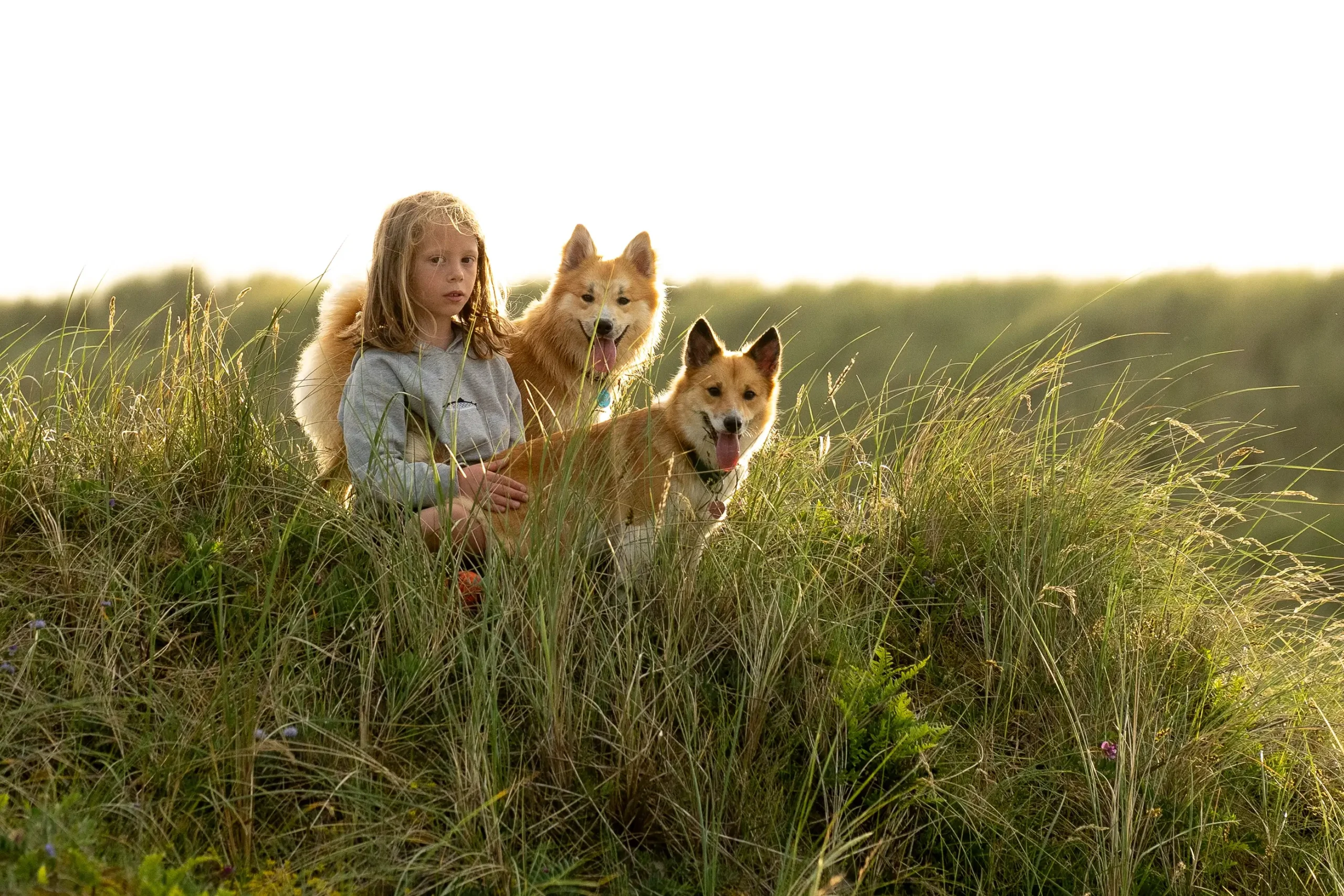 Ferie med hund i Slettestrand | Foto: Kristian Skjødt