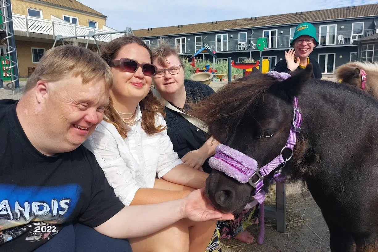 Ponyhygge under Ferie med Sikkerhedsnet i Slettestrand