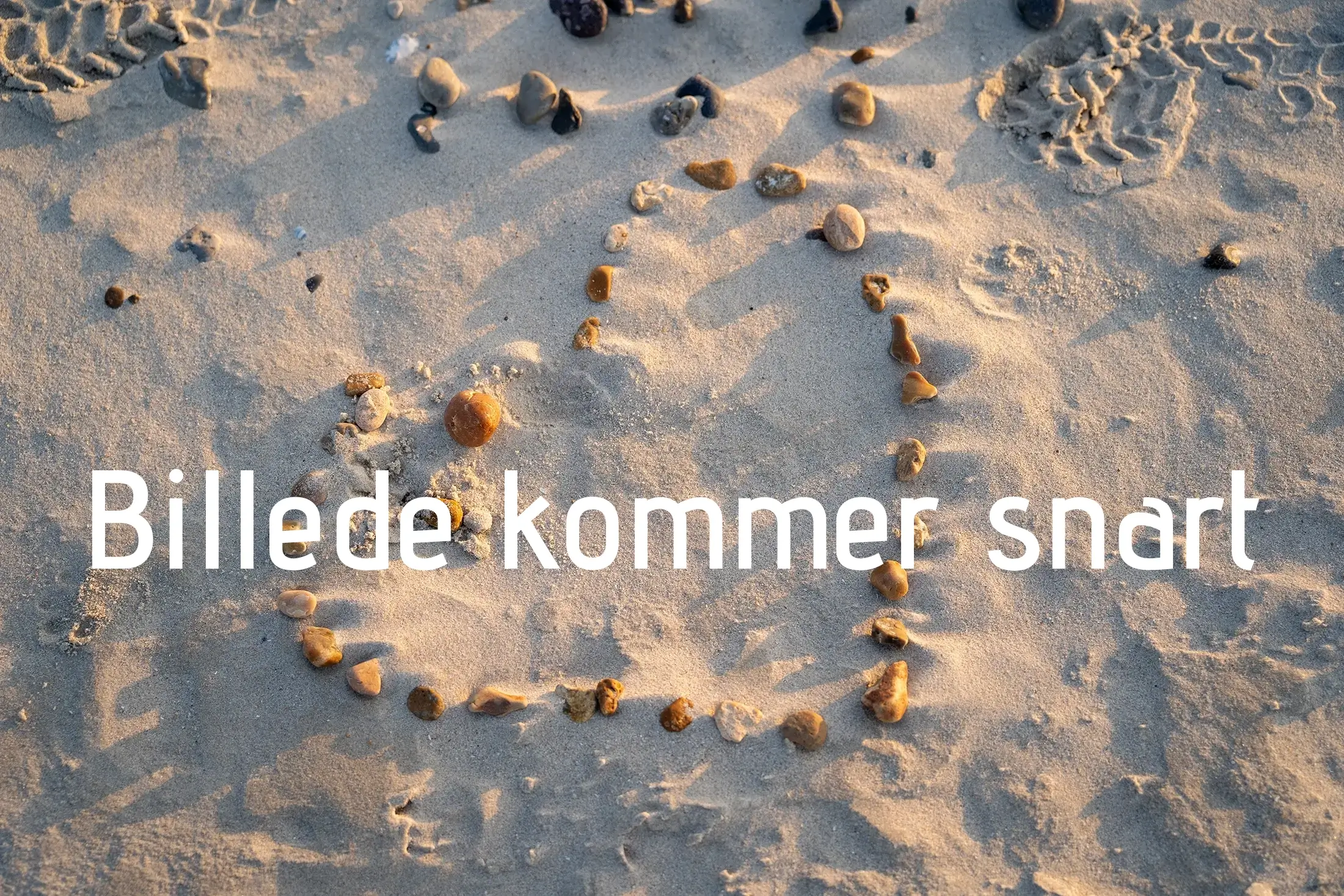 Billede kommer snart