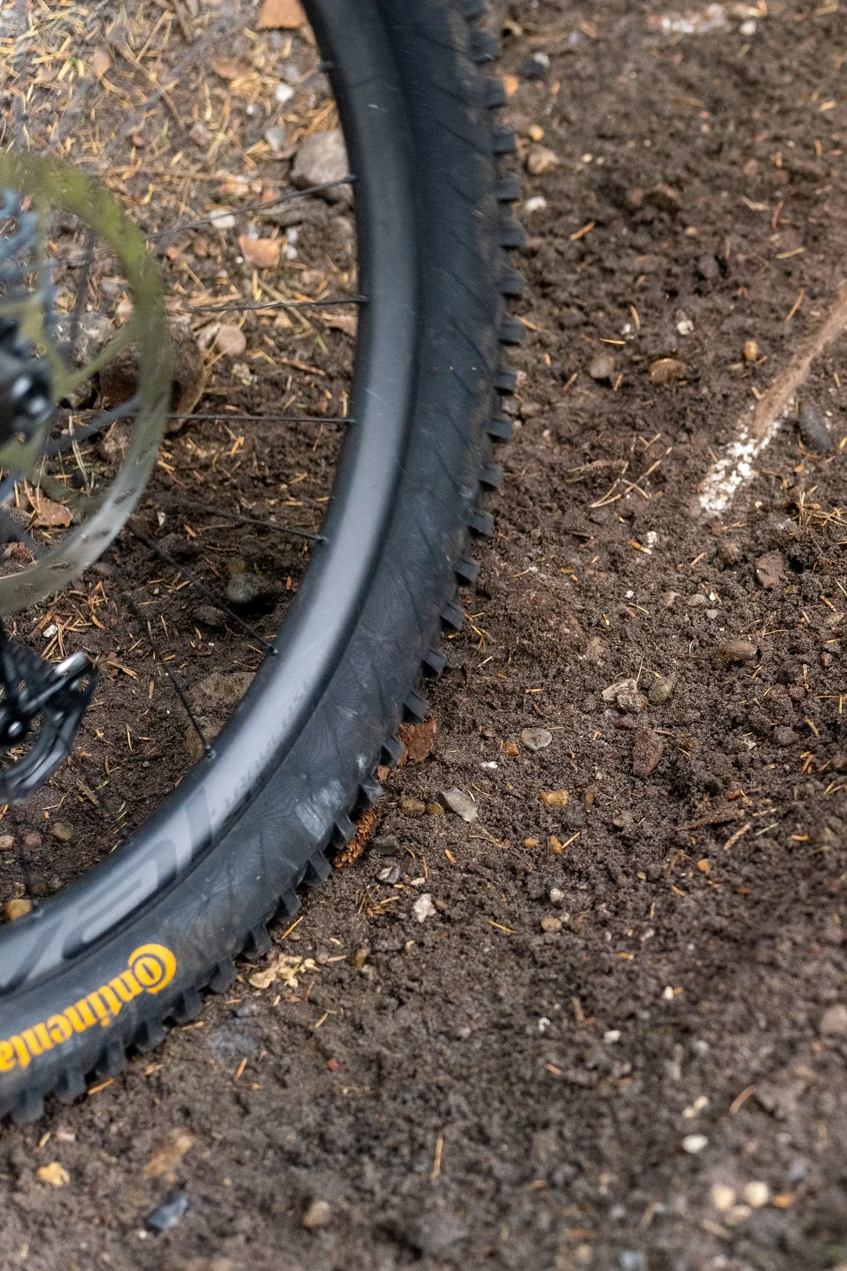 Mountainbike spor i Svinkløv Plantage | Foto: Kristian Skjødt