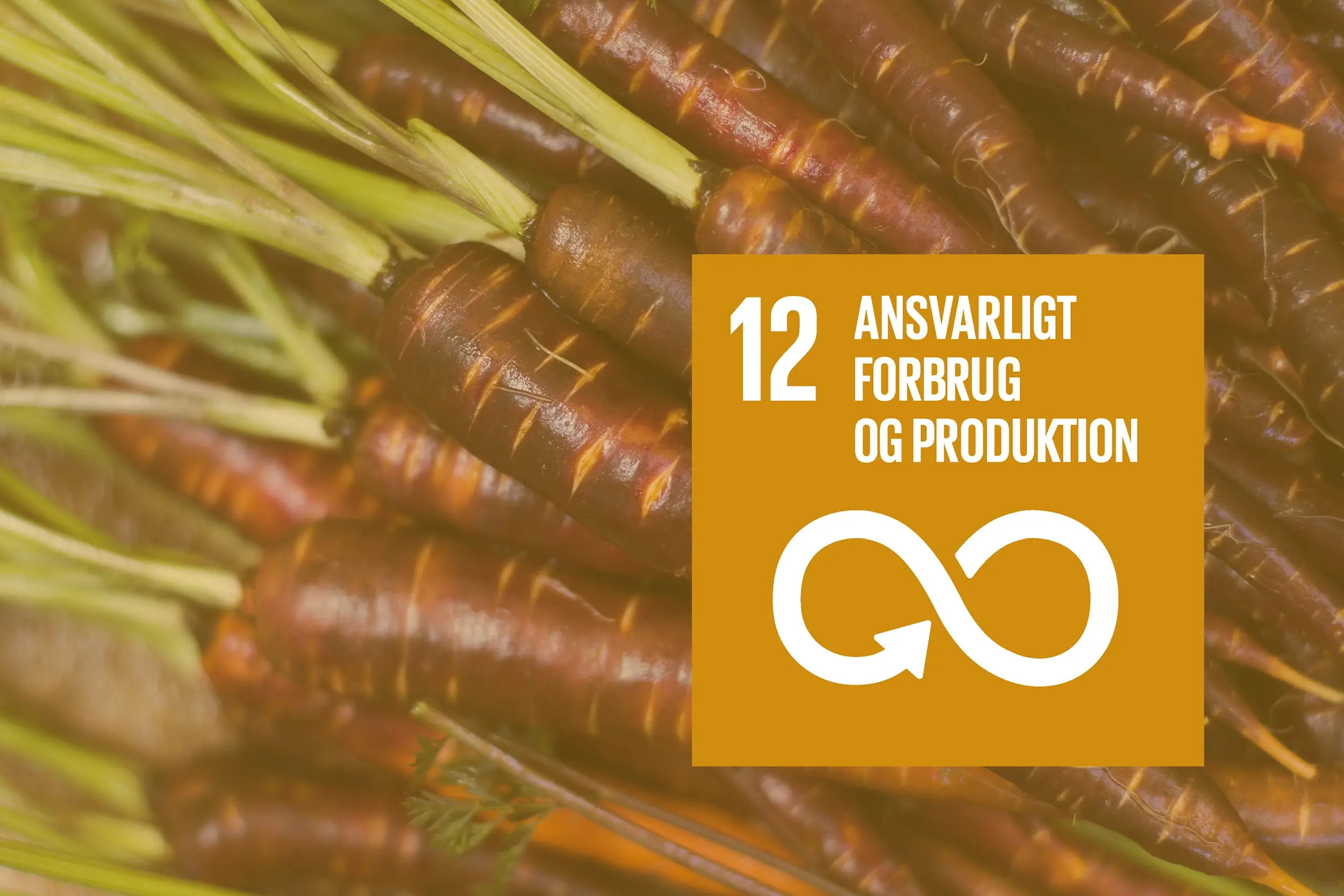 Mål 12: Ansvarligt forbrug & produktion | Verdensmål for bæredygtig udvikling