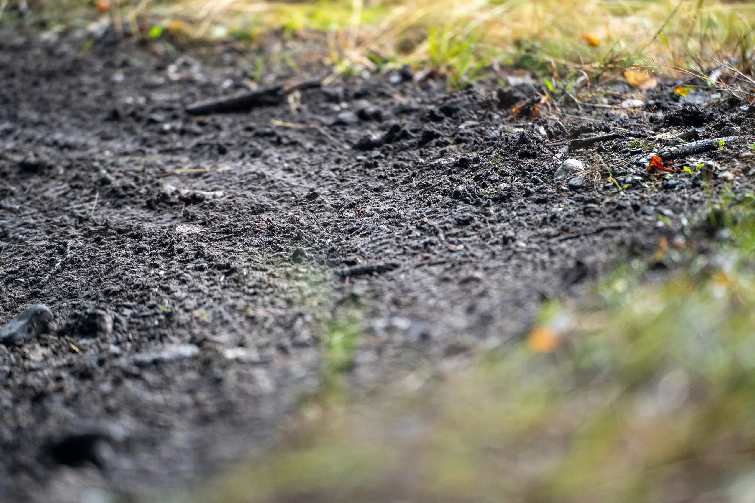 MTB spor i Slettestrand | Foto: Kristian Skjødt