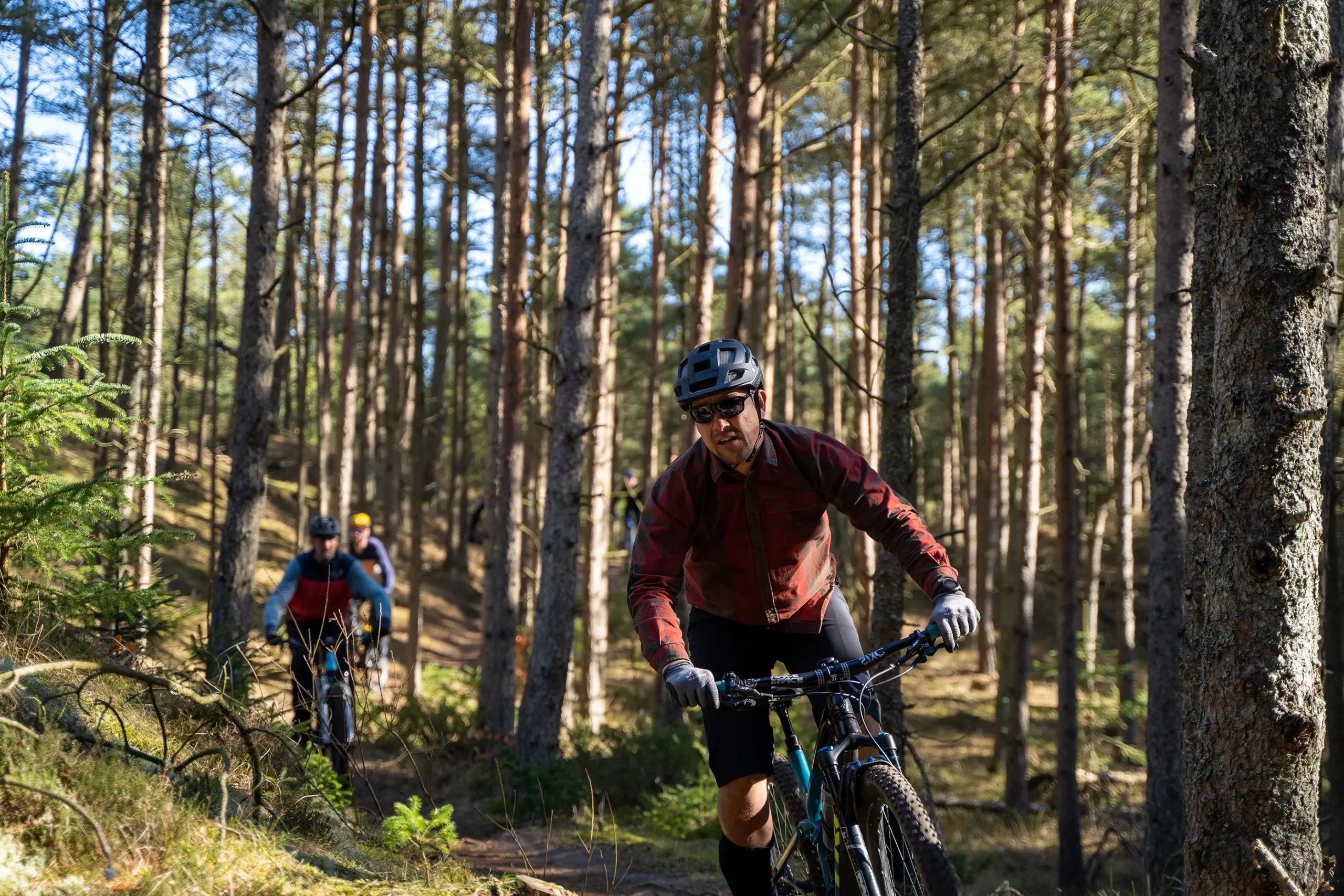 MTB sporet i Svinkløv Plantage | Foto: Kristian Skjødt