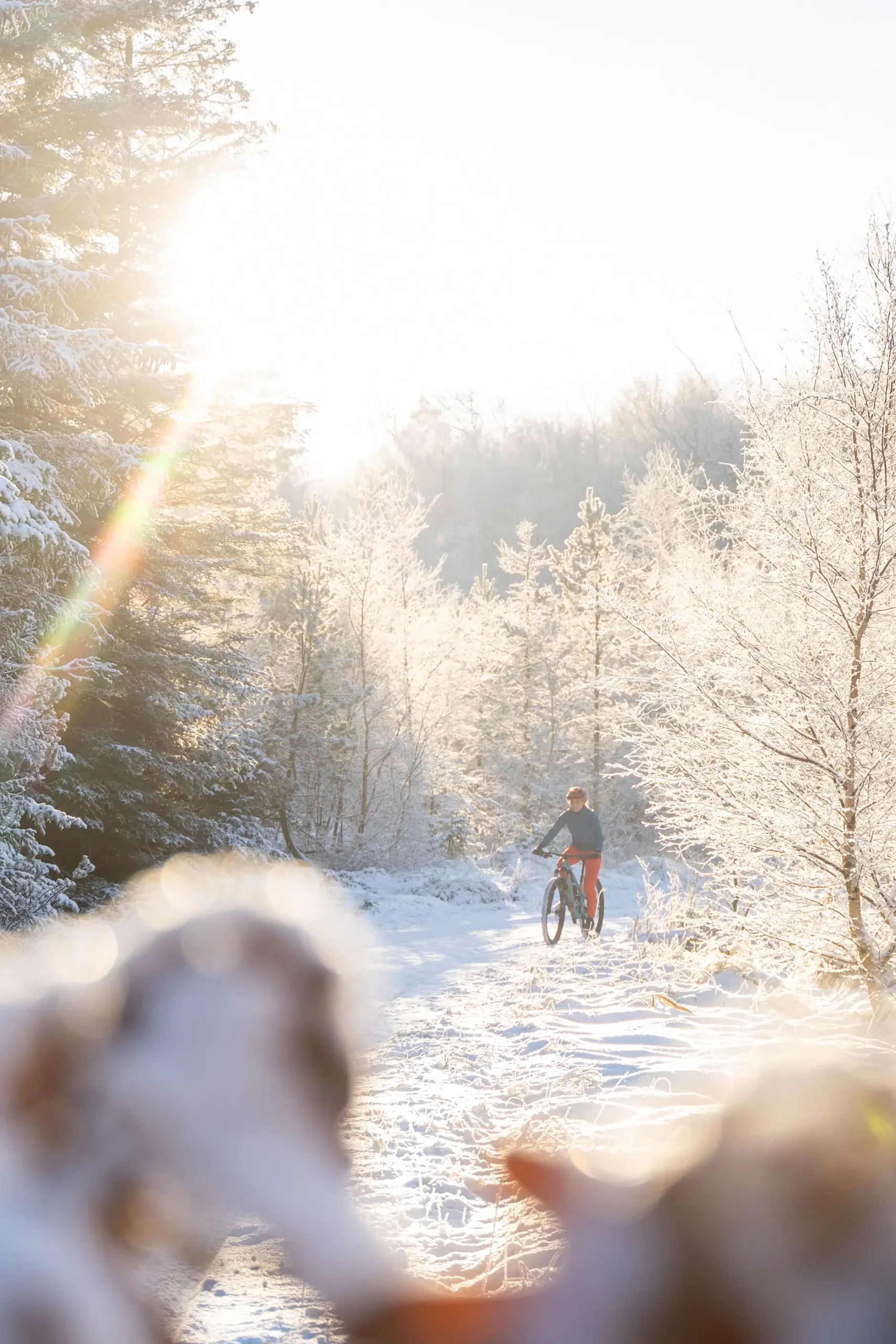 Vinter MTB i Slettestrand | Foto: Kristian Skjødt